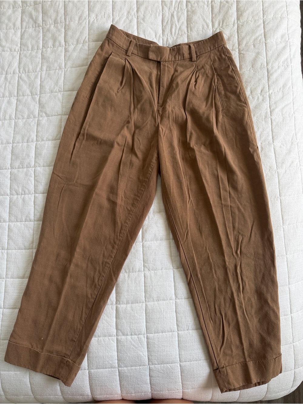 Everlane Brown Pleated Trousers